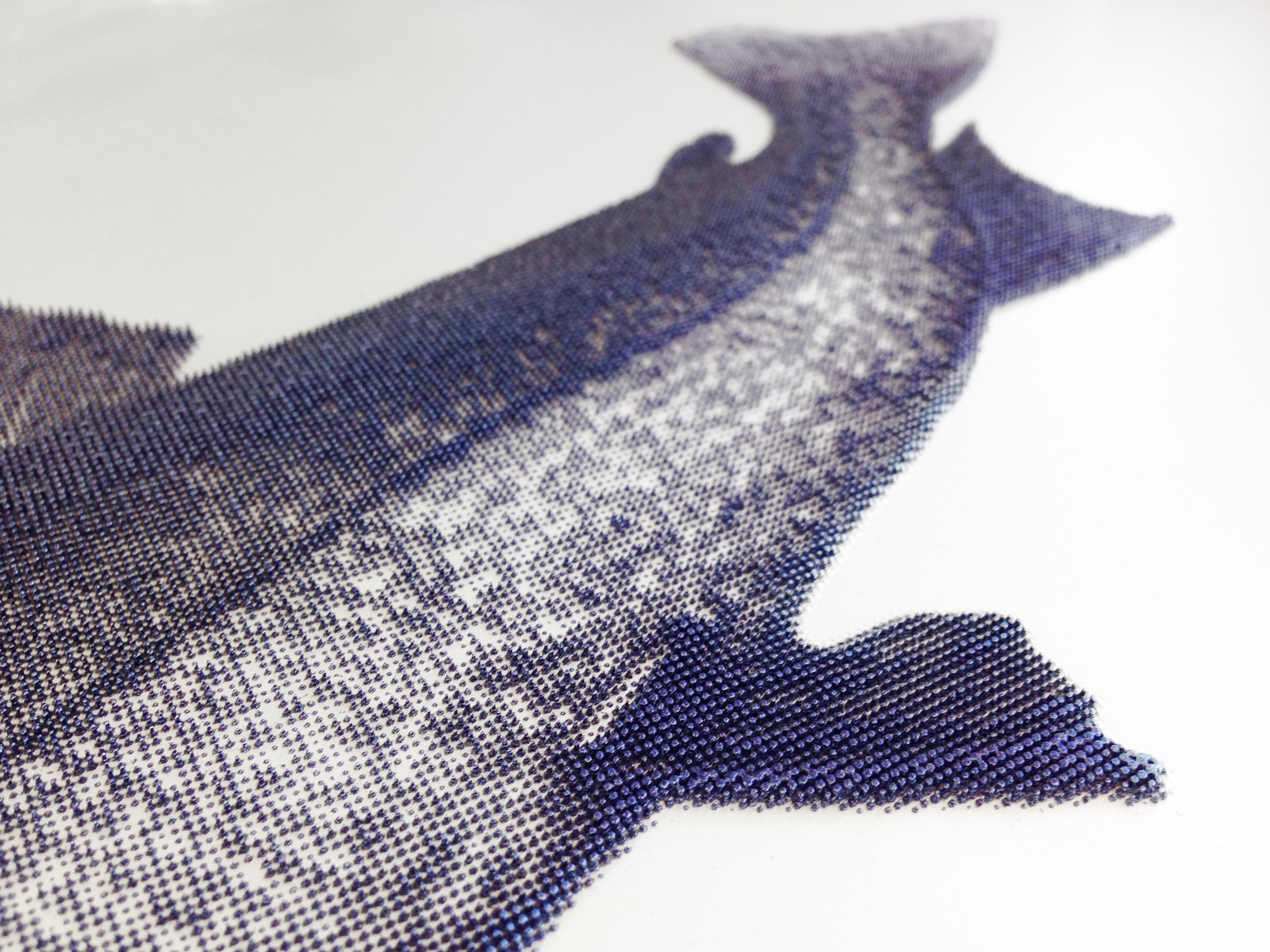 SURFACE_elevated printing nature fish